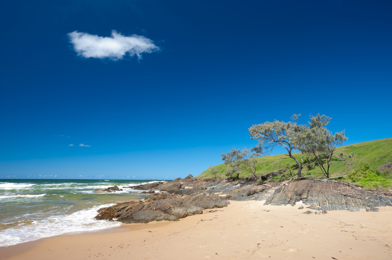 The Coffs Coast Image 5